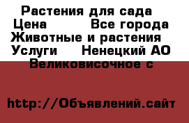 Растения для сада › Цена ­ 200 - Все города Животные и растения » Услуги   . Ненецкий АО,Великовисочное с.